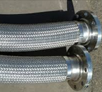 Flexible Pipe Hose Assembly with fixed Flanges